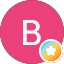 Birgit Nollmann Avatar